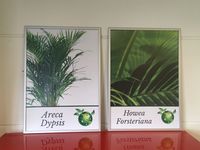 posters in lijst RM Plants